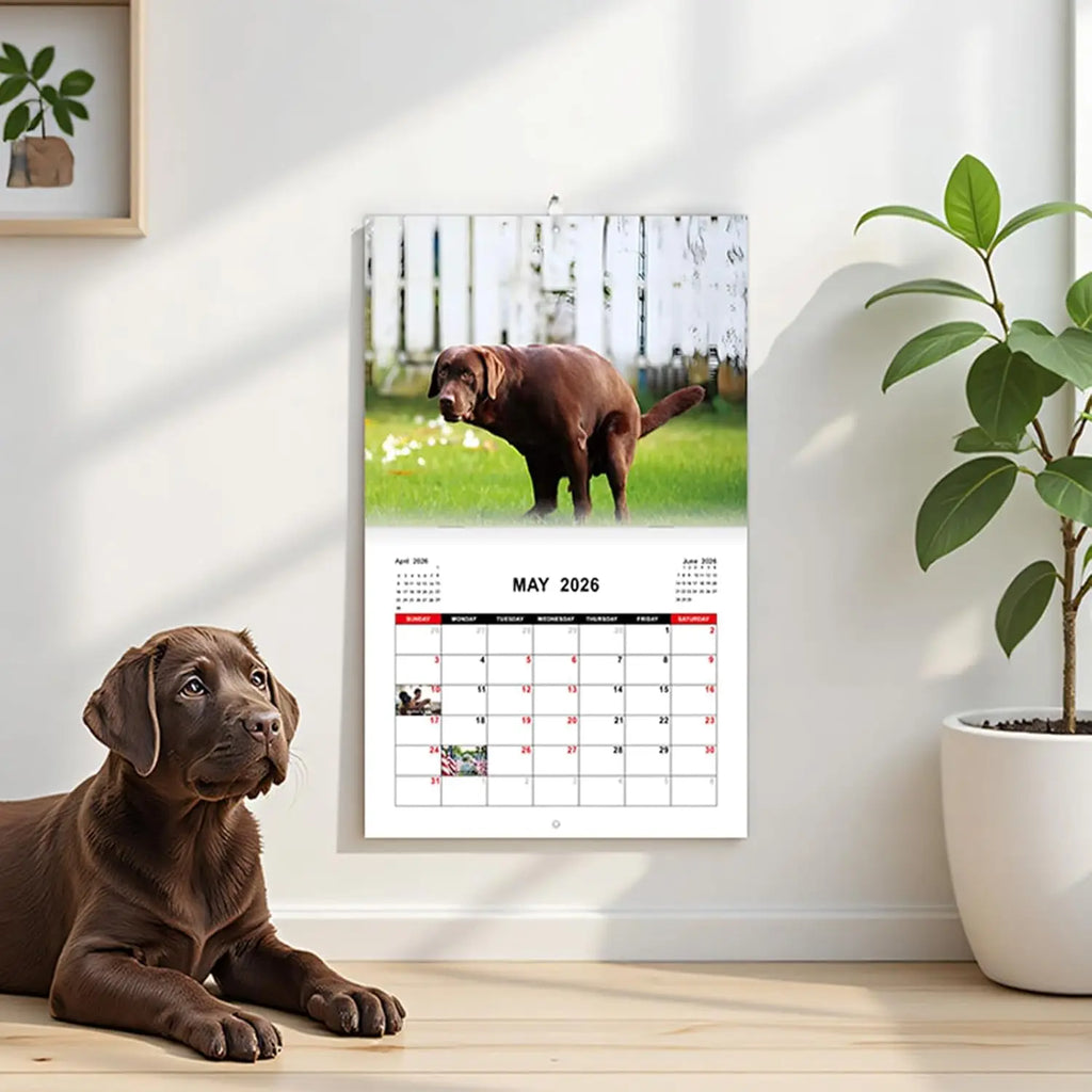 Dogs Pooping in Beautiful Places 2026 Calendar