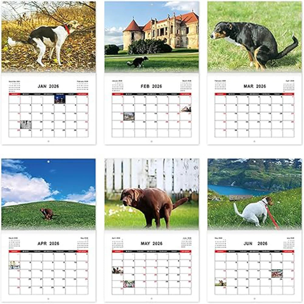 Dogs Pooping in Beautiful Places 2026 Calendar