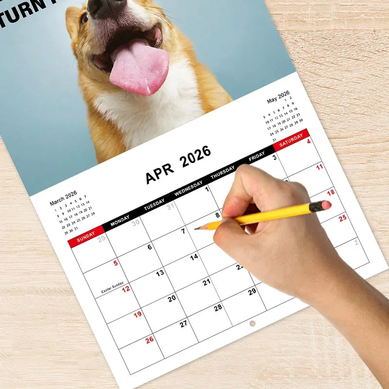 2026 Desk Dog Calendar - I Have No Idea What I'm doing - Tipsy Turtle Collective