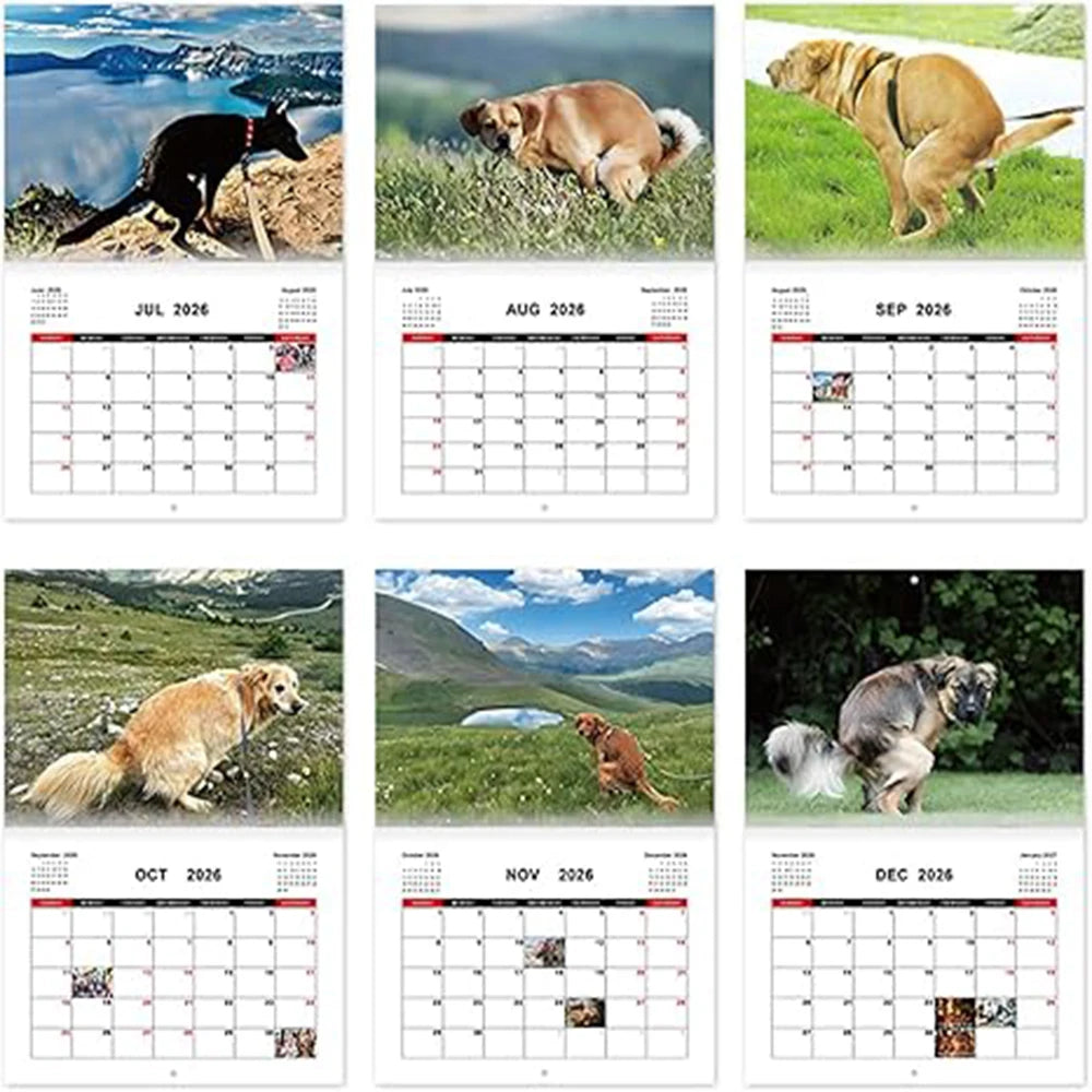 Dogs Pooping in Beautiful Places 2026 Calendar