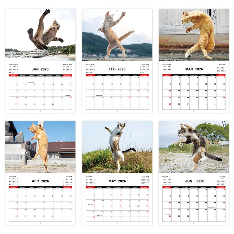 2026 Kung Fu Cats Themed Calendar