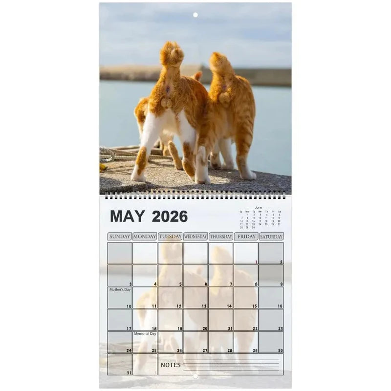Funny 2026 Cats Buttholes Calendar