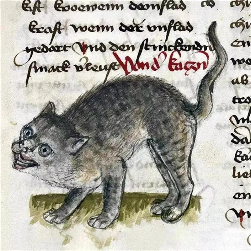 2026 Ugly Medieval Cats Calendar