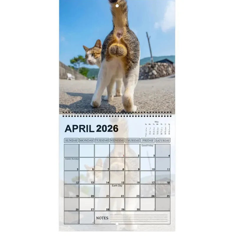 Funny 2026 Cats Buttholes Calendar