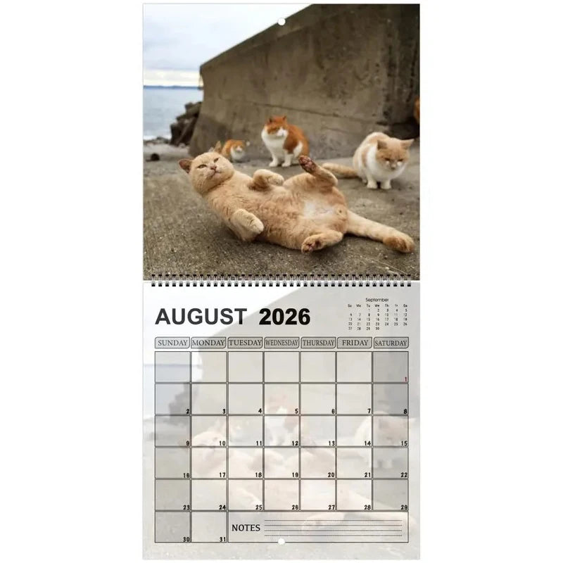 Funny 2026 Cats Buttholes Calendar